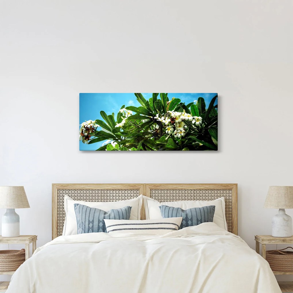 Kép - Plumeria (120x50 cm)