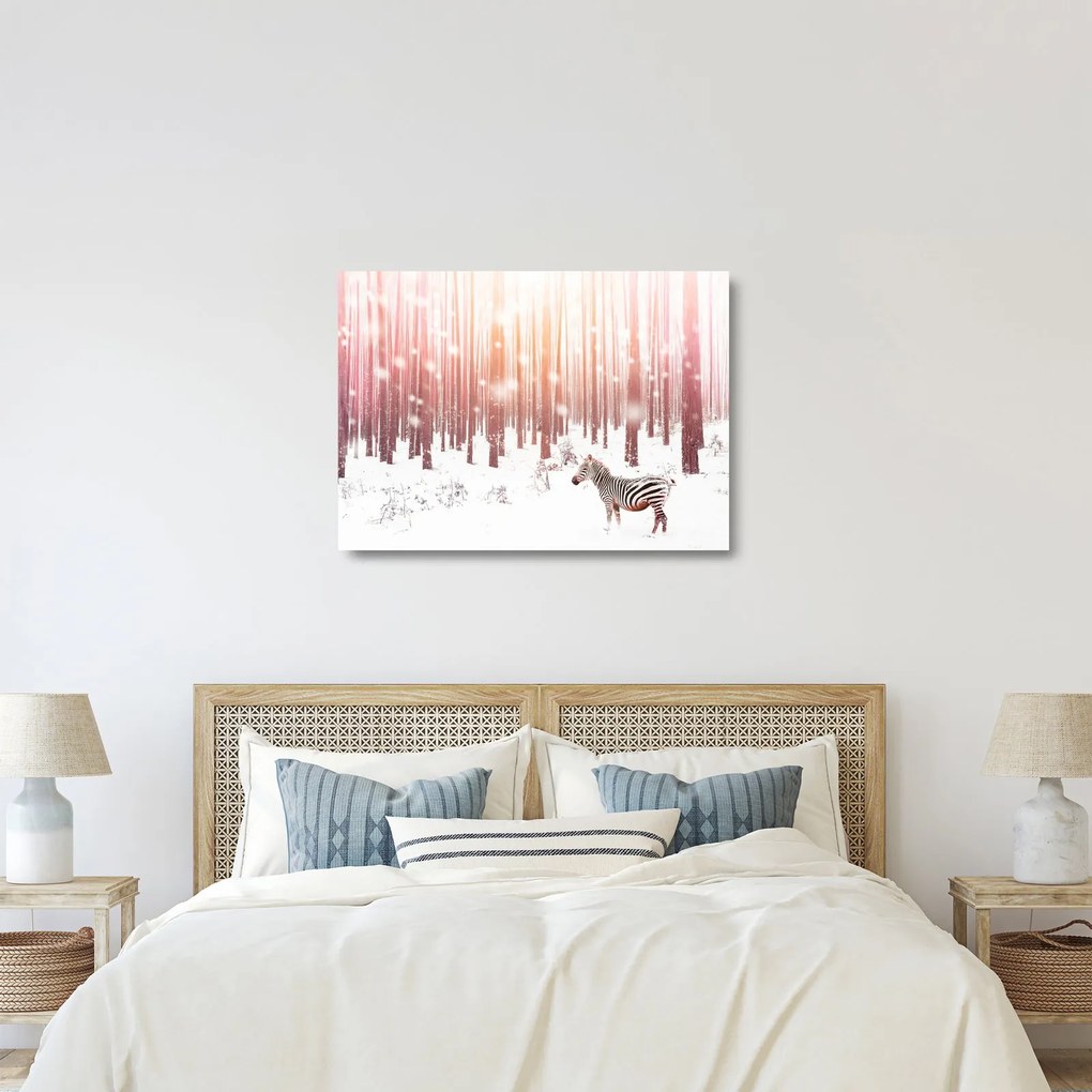 Kép - Zebra egy havas erdőben (üvegen) (70x50 cm)