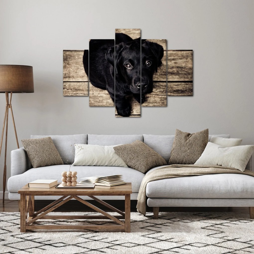 Egy fekete kiskutya képe (150x105 cm)