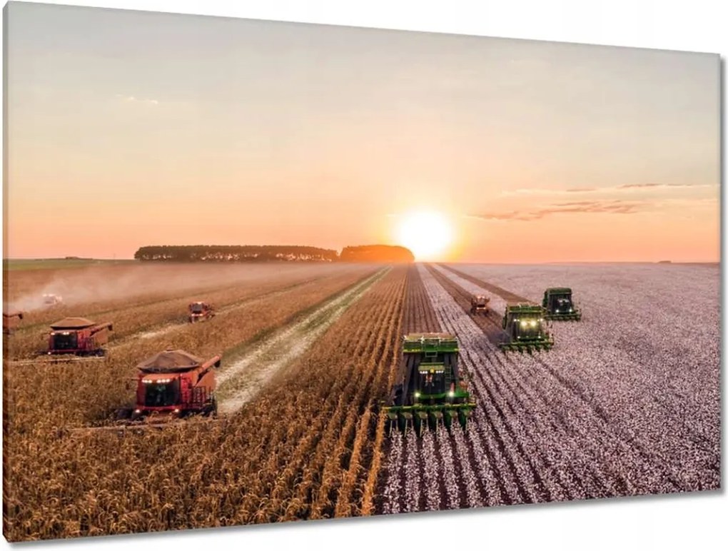 Festmények 120x80 Aratás Mezőgazdaság Kombájn