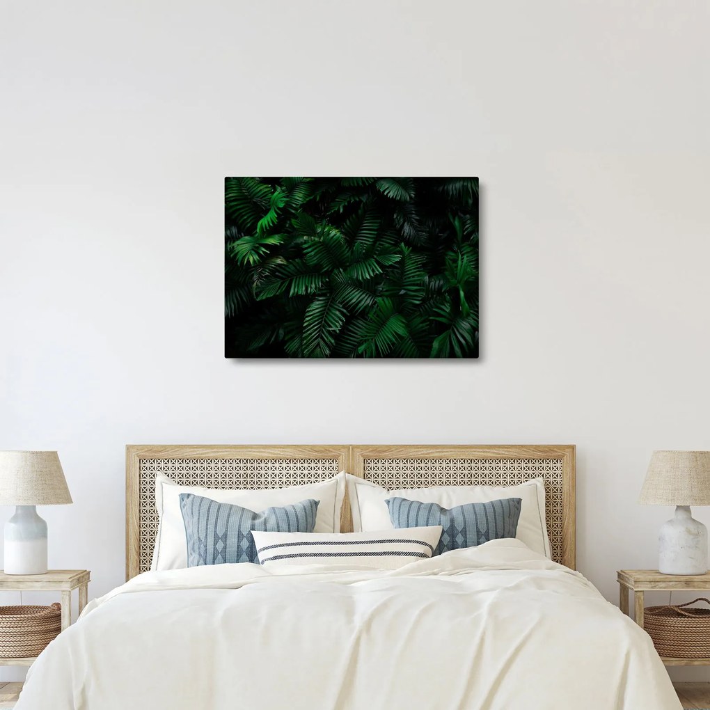 Kép - trópusi páfrány (70x50 cm)