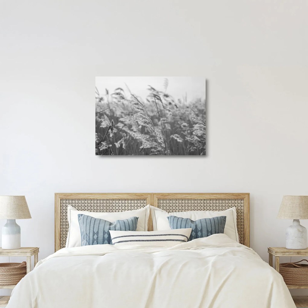 Üveg kép - Fű a szélben (70x50 cm)