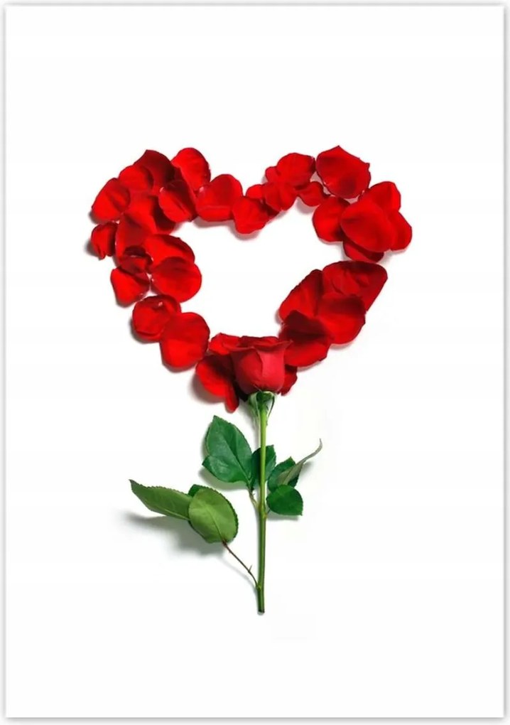 Poszterek 70x100 Rózsaszív Bizonyíték Szerelem