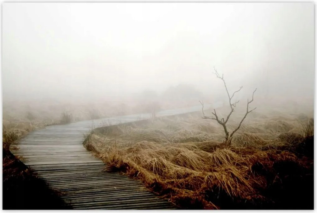 Poszterek 120x80 Reggeli fények