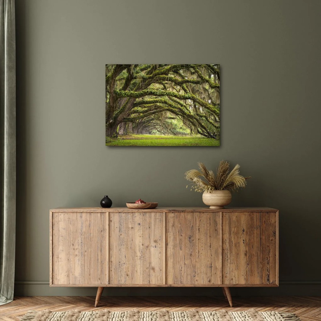 Kép - Oaks Avenue, Charleston, Dél-Karolina, Egyesült Államok (70x50 cm)