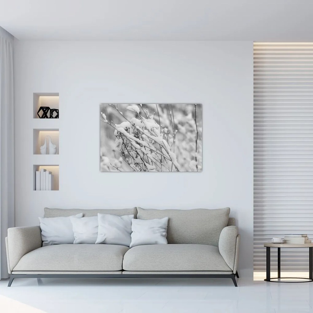 Kép - Havas ágak (90x60 cm)