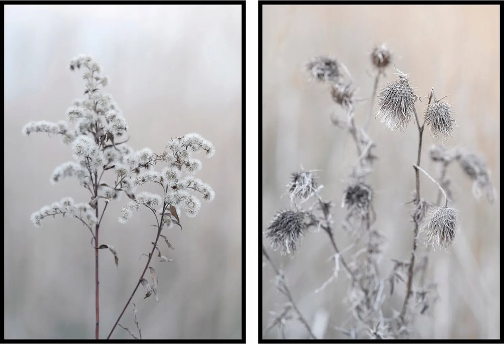 Poszter fű boho finom diptichon 60x90cm