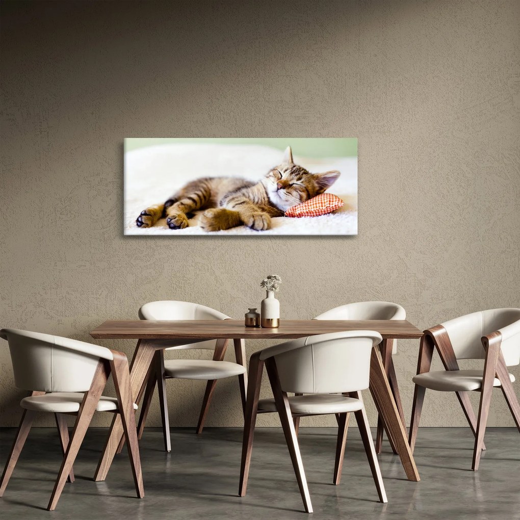 Kép - alvó cica (120x50 cm)