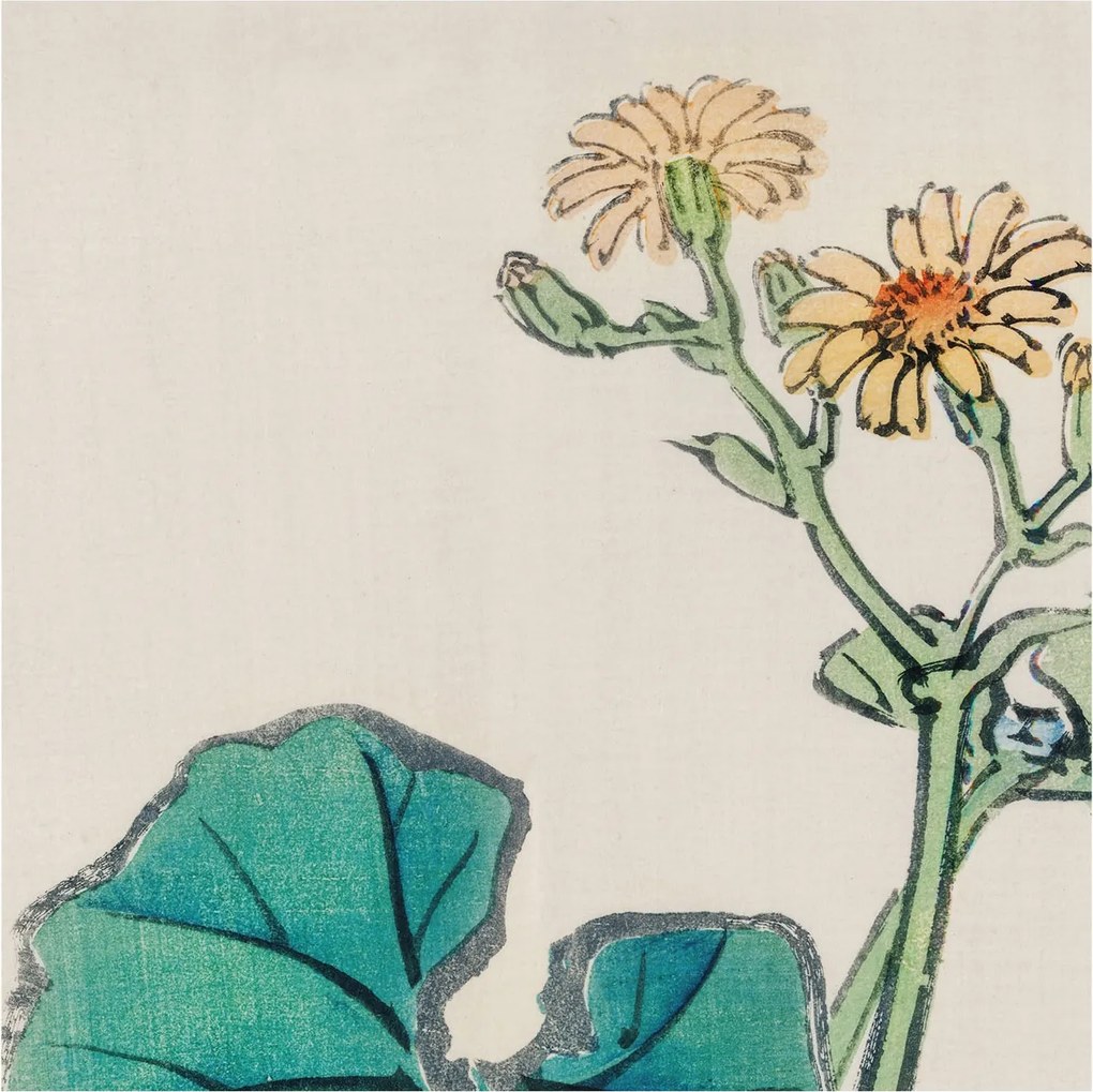 Flizelina Dekoratív Fotótapéta Hálószobába Virág és levelek 250x250 Ragasztó