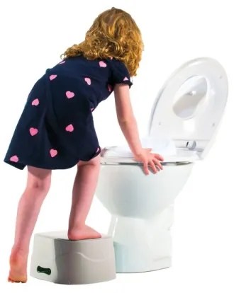 DiaperChamp - Bili 3in1 POTTYCHAMP szürke