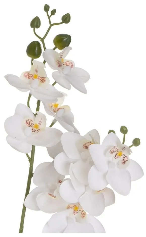 Művirág (magasság 39 cm) Orchid – Casa Selección