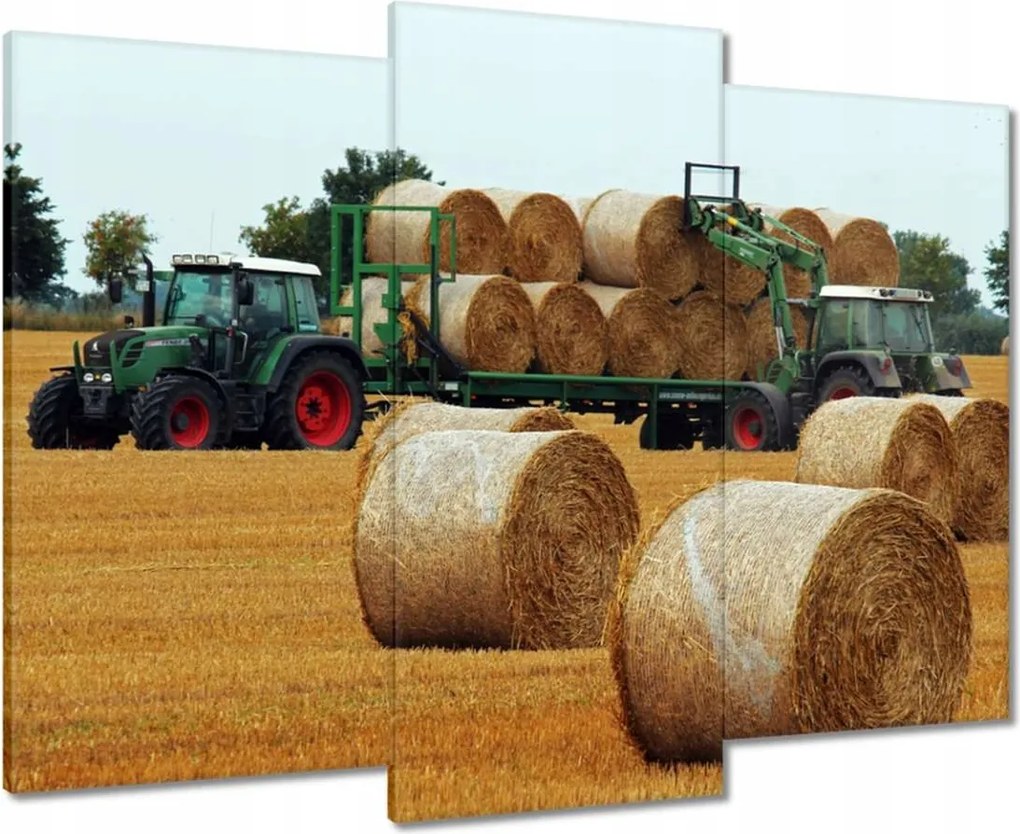 Vászonkép 90x70 Aratás Szalma Bálna Traktorok