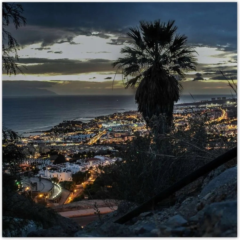 Poszterek 140x140 Tájkép pálmafákkal