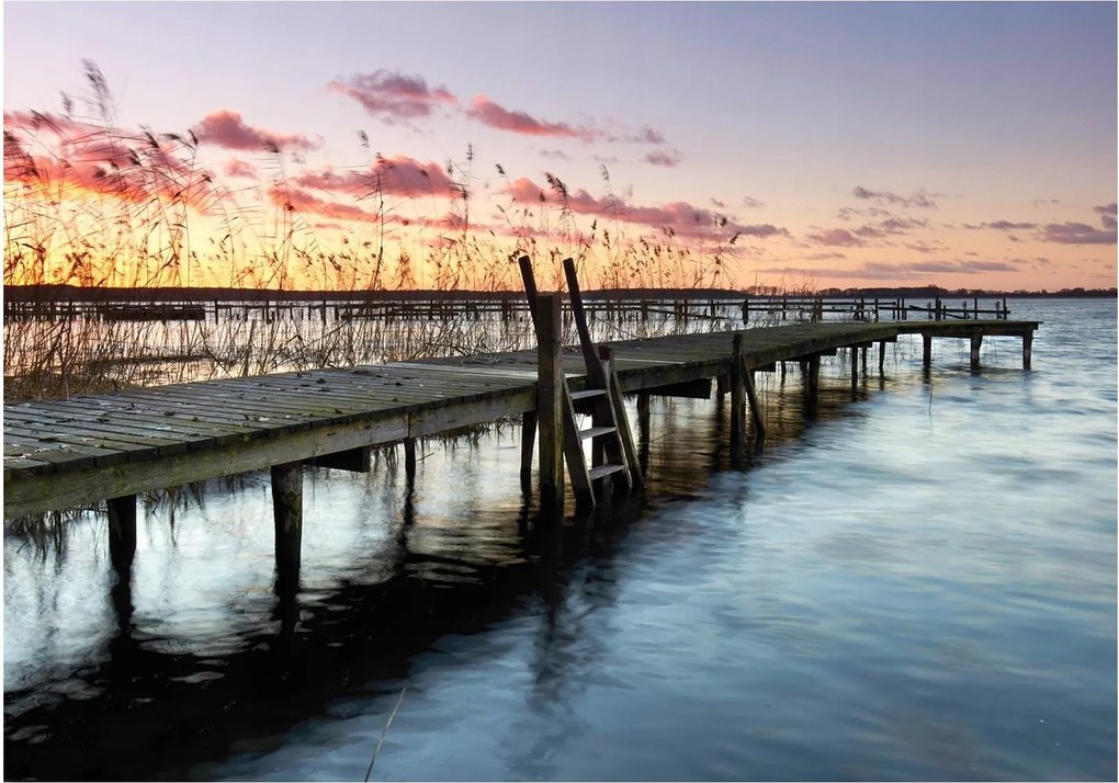 Fotótapéta Híd Gyönyörű Kilátás Fotótapéta 312 x 219 12651VEXXL