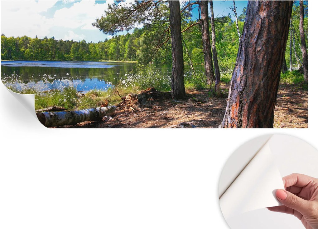 Fotótapéta Öntapadós Dekoratív tapéta Erdei táj 250x104 cm