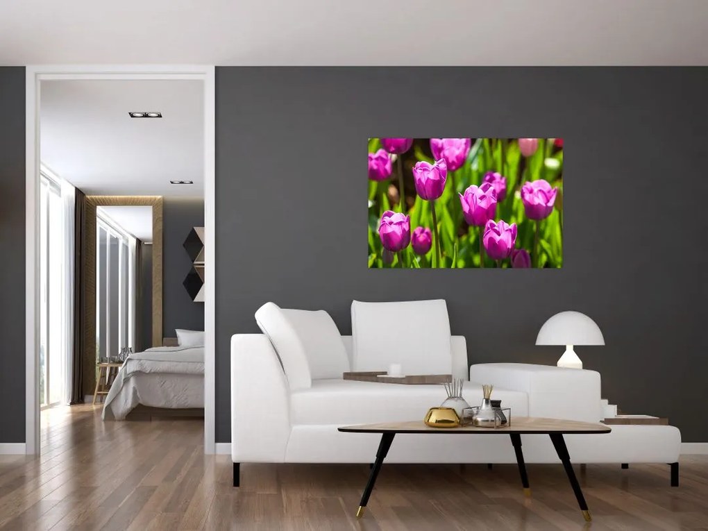 Tulipánok a réten képe (90x60 cm)