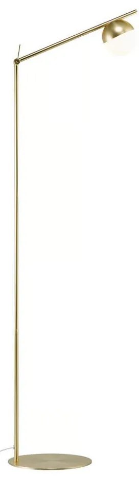 Nordlux - CONTINA állólámpa 1xG9/5W/230V sárgaréz