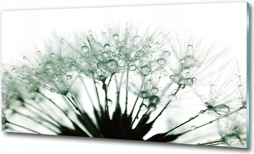 Fotó üvegkép Kék orchidea 100x70