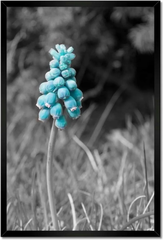 Poszter keretben 40x60 Türkiz virág