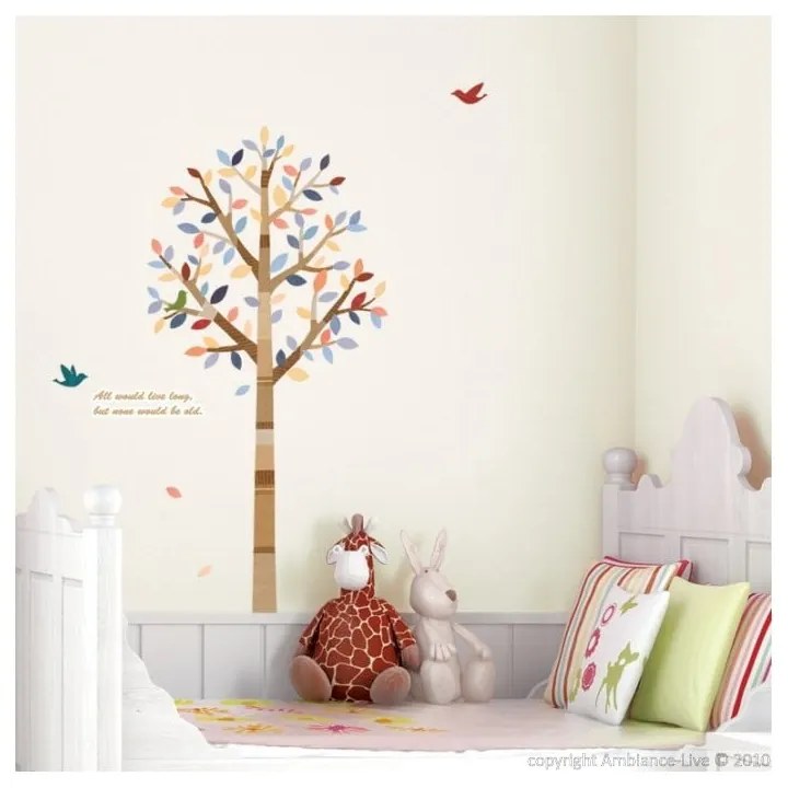Tree and birds falmatrica - Ambiance