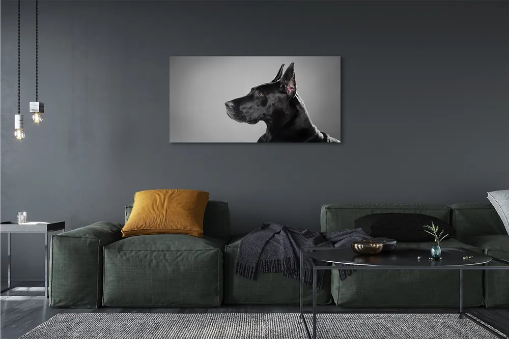 Canvas képek Fekete kutya 125x50 cm
