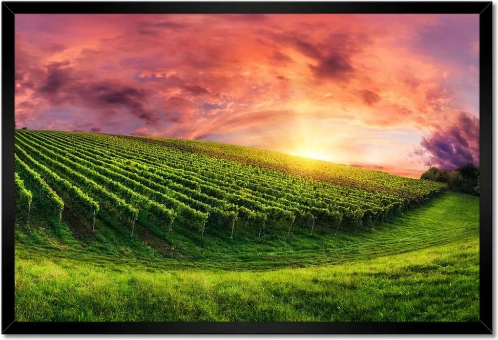 Poszterek keretben 60x40 Szőlőbirtok Tájkép