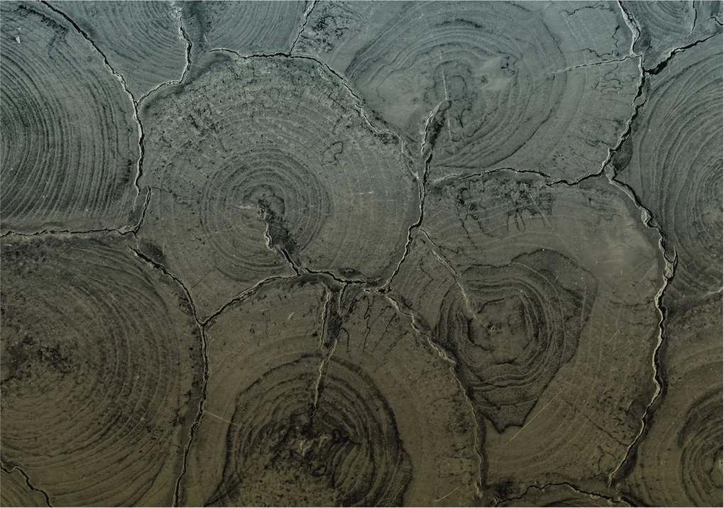 Fotótapéta Flizelin Dekoratív Hálószoba Fa tégelyek 312x219