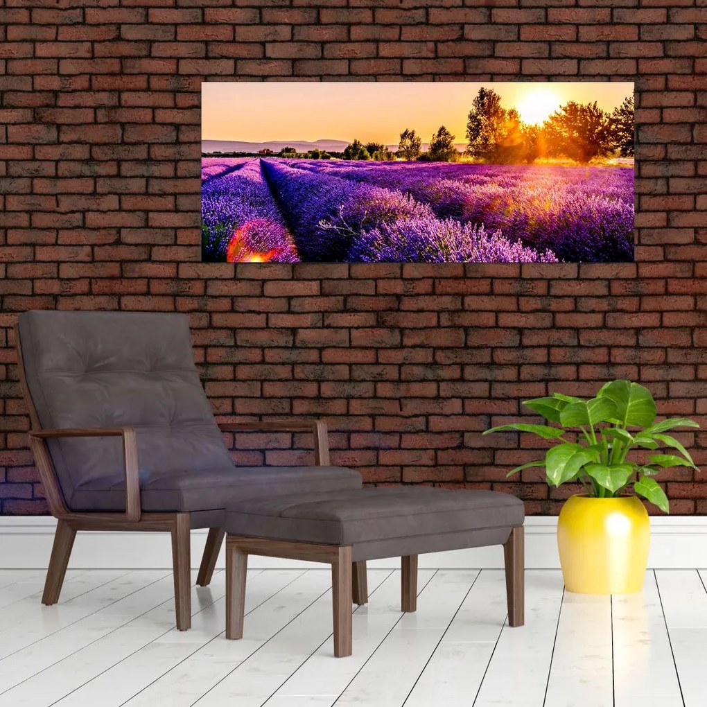 A levendula mező képe, Provence (120x50 cm)