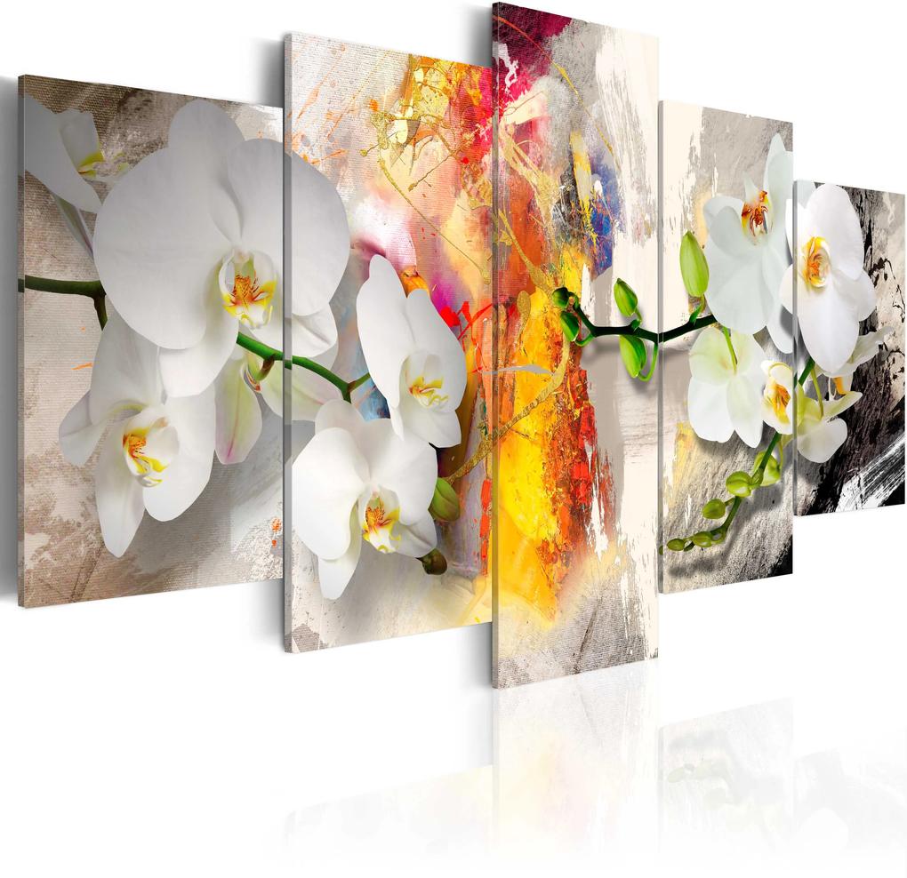 Kép - Orchid And Colors