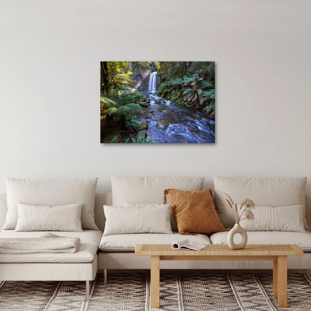 Ausztrál esőerdő képe (70x50 cm)