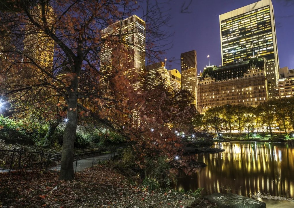 Poszter 42x29,7cm Esti kilátás a New York-i Central Parkra 3, Assaf Fra