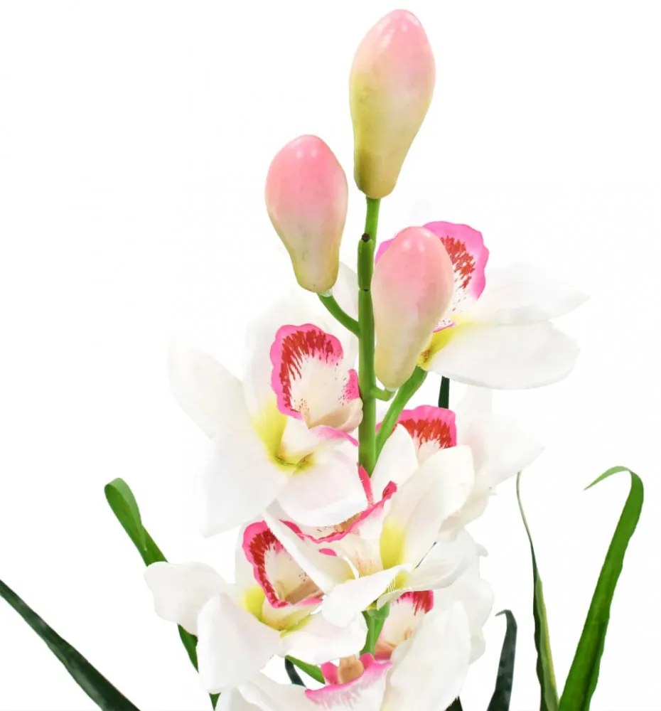 zöld, cserepes műcsónakorchidea 100 cm