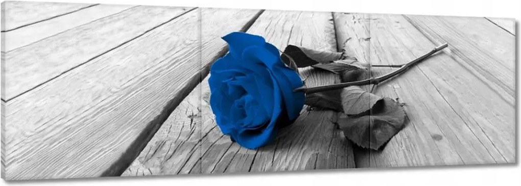 Vászonkép 60x20 Kék rózsa a hídon