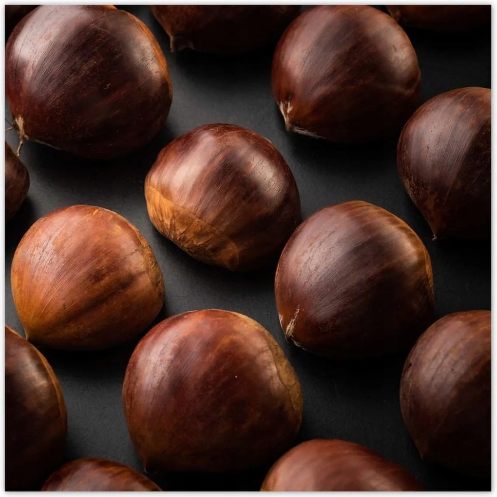 Poszterek 70x70 Kormány Gesztenye ehető