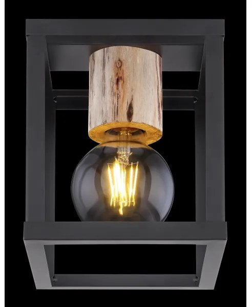 Globo 15476D - Mennyezeti lámpa HAGAR 1xE27/60W/230V