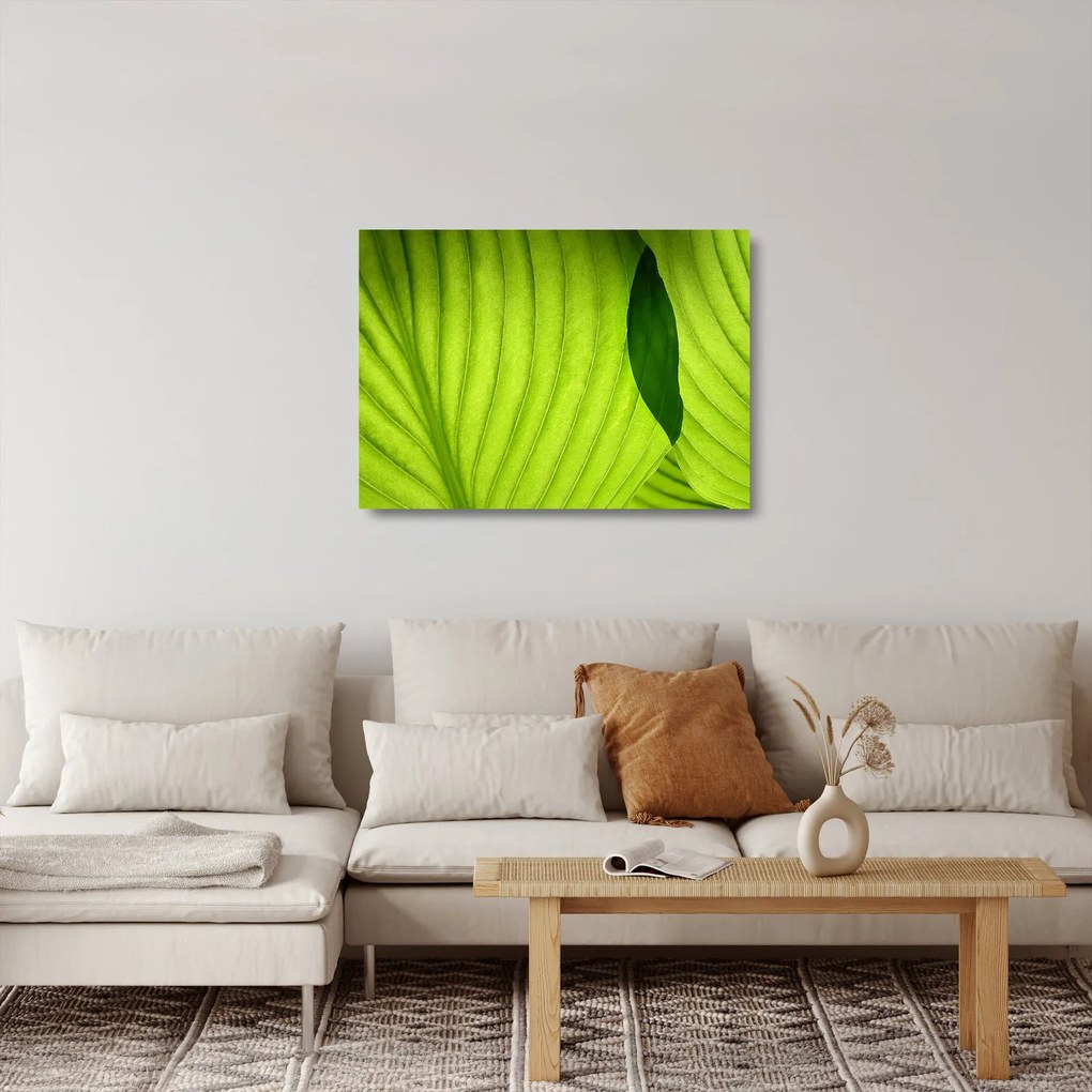 Üveg kép - Zöld levél részlete (70x50 cm)