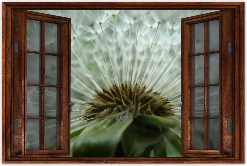 Poszterek 60x40 Pitypang Virág Virágok