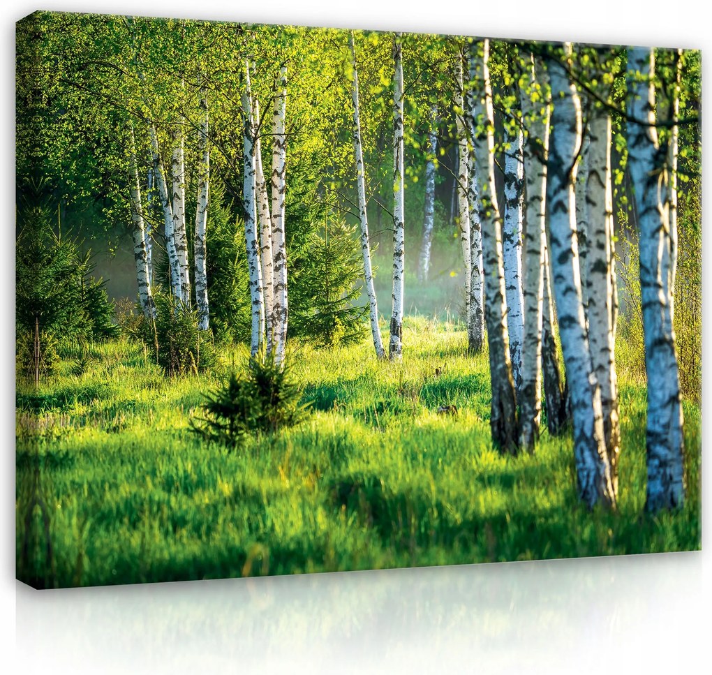 Vászonkép Erdő Természet XXL Nappali Hálószoba Fürdőszoba Modern 100x70