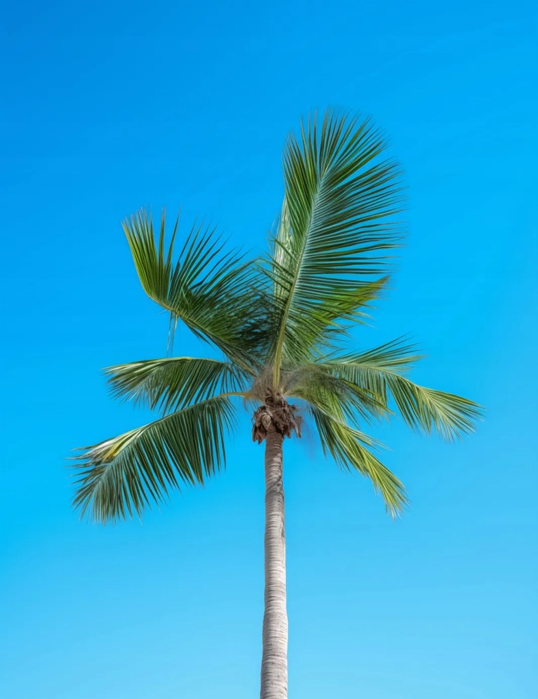 Poszter 50x65cm Égi magaslatok