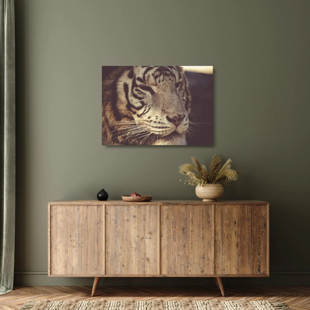 Tigris képe (üvegen) (70x50 cm)