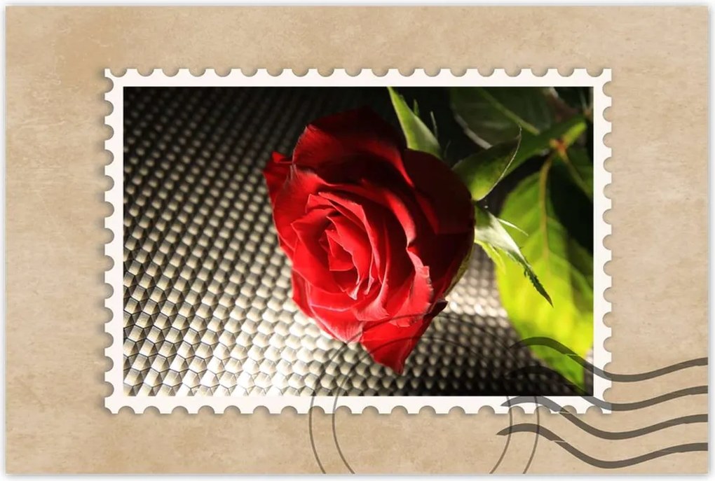 Poszterek 90x60 Ízléses rózsa ajándékba