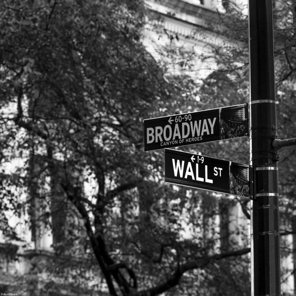 Poszter 30x30cm Utcatáblák New Yorkban, Assaf Frank