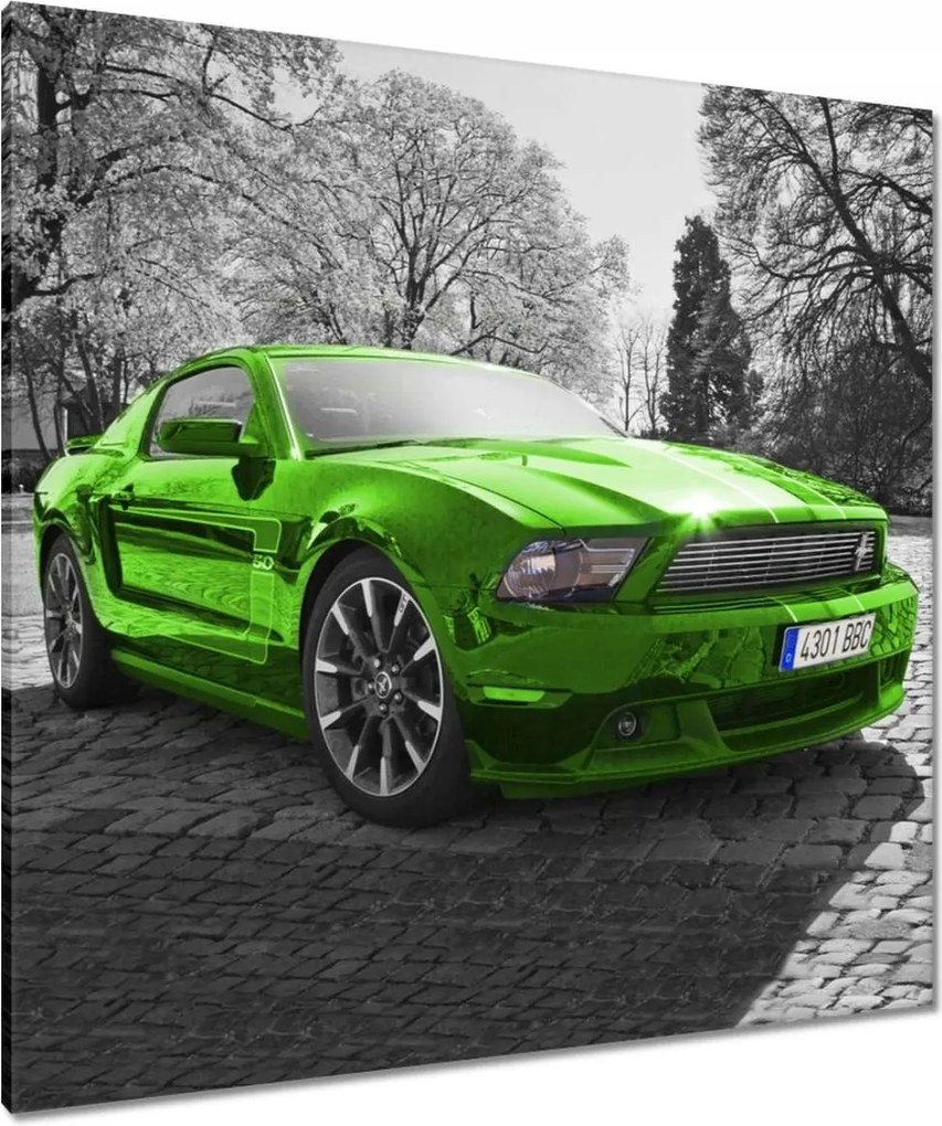 Vászonkép 90x90 Zöld Ford Mustang Usa