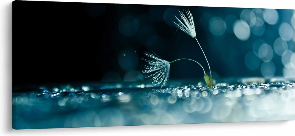 Kép - Makró (120x50 cm)