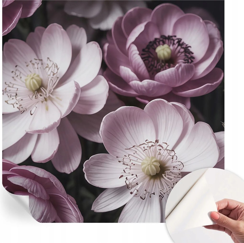 Fotótapéta Öntapadós Fali Falikép Virágos elegancia 250x250 cm