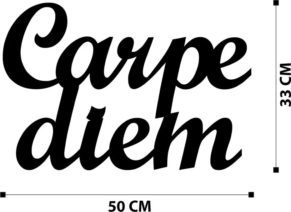 Carpediem fém fali dekoráció, 50×38 cm