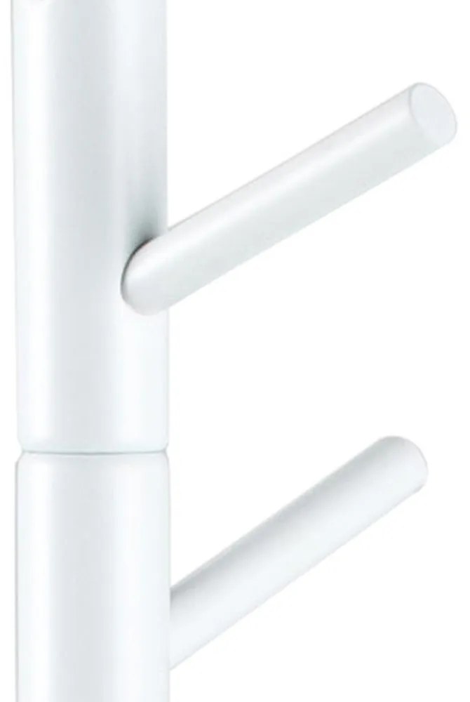 Braven fogas