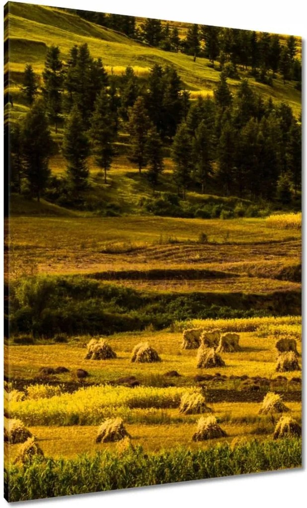 Vászonkép 70x100 Tájkép Látvány