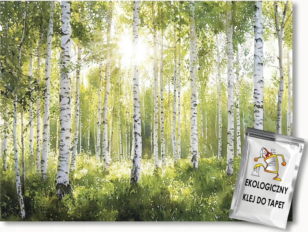 Fotótapéta Flizelina Tájkép Természet Erdő Fák Nyírfa Nap 368x254 ragasztó