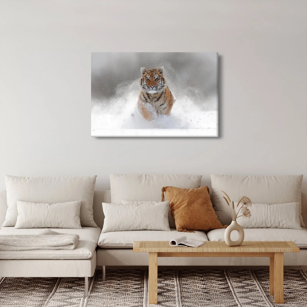 Futó tigris a hóban képe (90x60 cm)